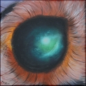 Augenblick einer Springspinne II; Acryl auf Leinwand;
30 x 30 cm